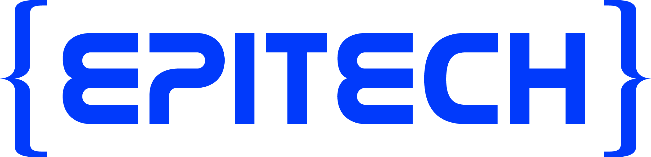 Epitech Digital School Logo